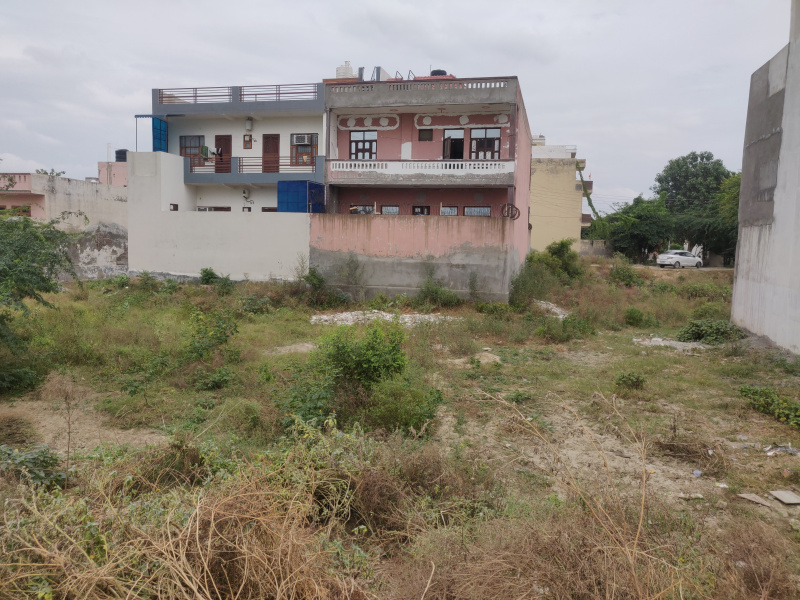  Residential Plot 264 Sq. Yards for Sale in Sector 11 Bahadurgarh