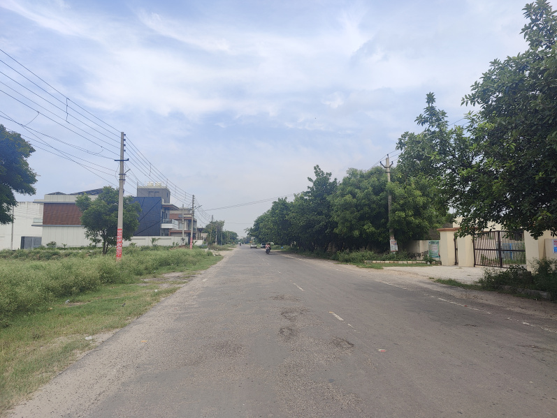  Residential Plot 264 Sq. Yards for Sale in Sector 11 Bahadurgarh