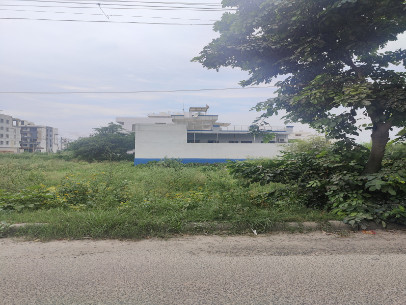  Residential Plot 108 Sq. Yards for Sale in Sector 13 Bahadurgarh