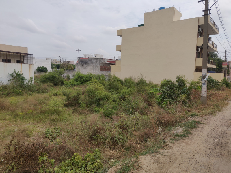  Residential Plot 538 Sq. Yards for Sale in Sector 13 Bahadurgarh