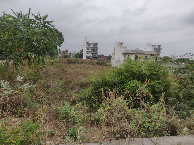  Residential Plot 538 Sq. Yards for Sale in Sector 13 Bahadurgarh