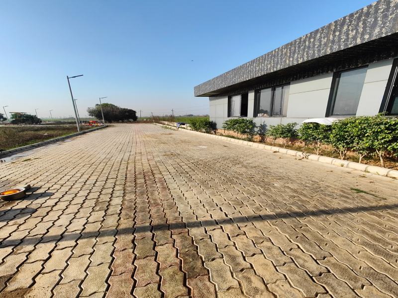  Residential Plot 134 Sq. Yards for Sale in Sector 28, Bahadurgarh