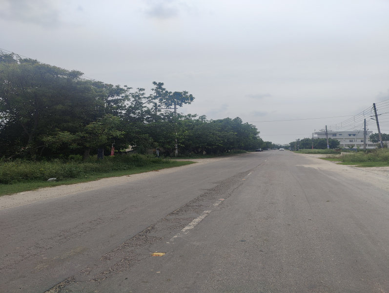  Residential Plot 115 Sq. Yards for Sale in Sector 11 Bahadurgarh