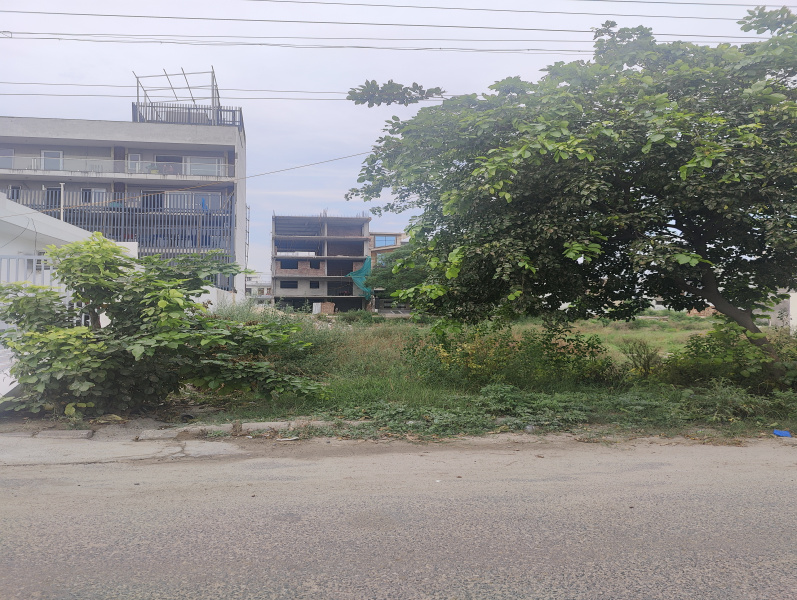  Residential Plot 110 Sq. Yards for Sale in Sector 36 Bahadurgarh