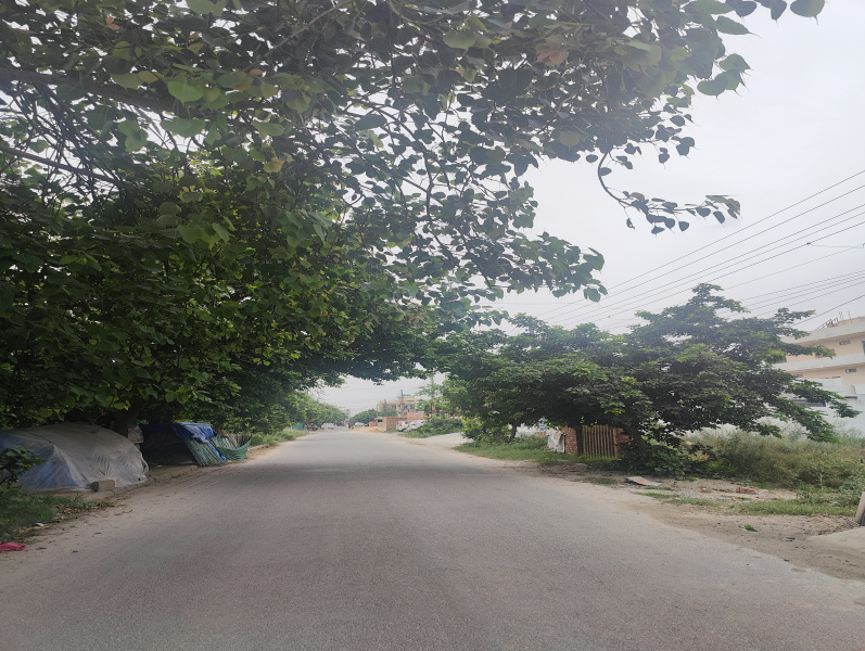  Residential Plot 110 Sq. Yards for Sale in Sector 36 Bahadurgarh