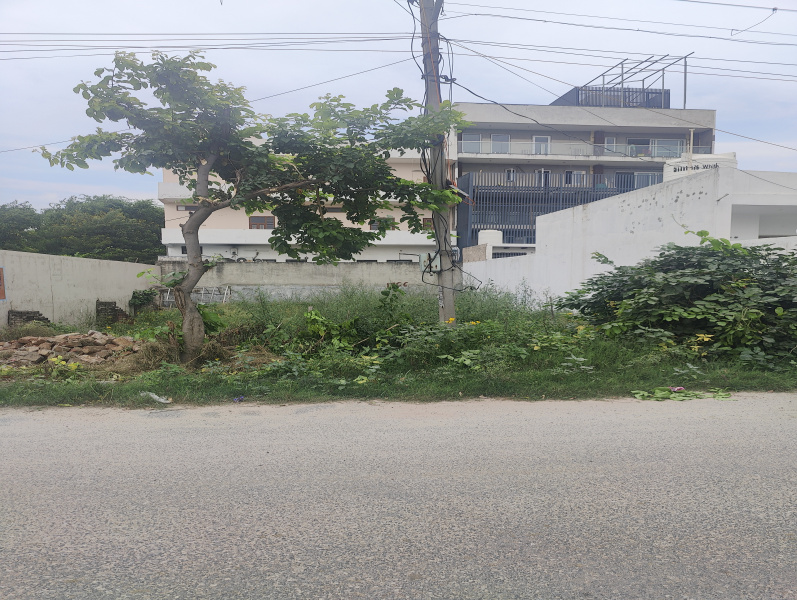  194 Sq. Yards Residential Plot for Sale in Sector 10, Bahadurgarh