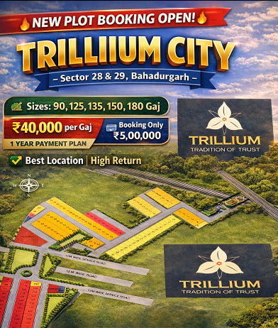  78 Sq. Yards Residential Plot for Sale in Sector 28, Bahadurgarh