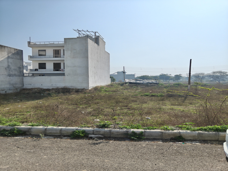  500 Sq. Yards Residential Plot for Sale in Sector 6 Bahadurgarh