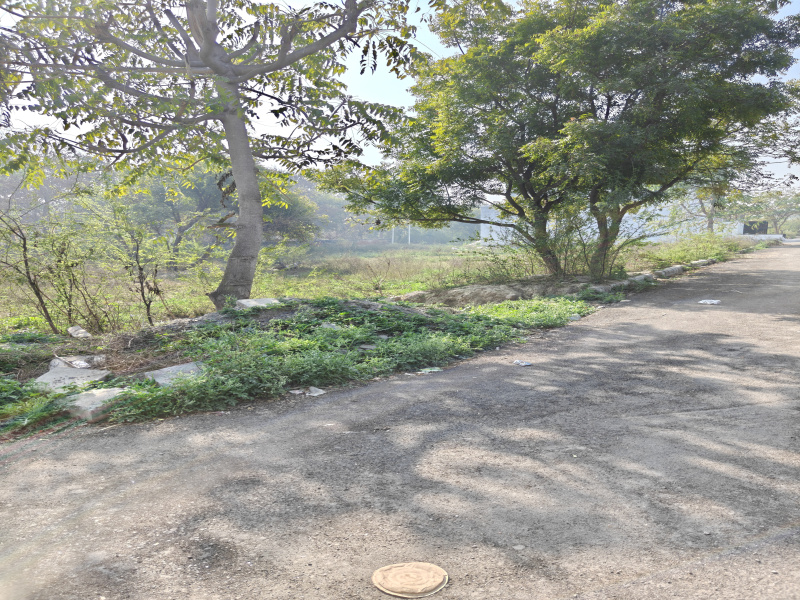  60 Sq. Yards Residential Plot for Sale in Sector 9A Bahadurgarh