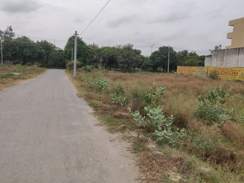  Residential Plot 500 Sq. Yards for Sale in Sector 9 Bahadurgarh