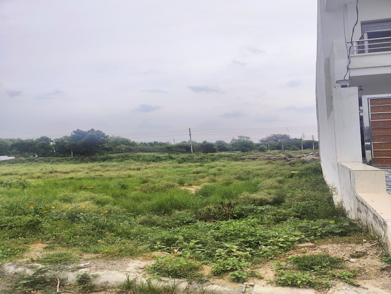  Residential Plot 107 Sq. Yards for Sale in Sector 13 Bahadurgarh