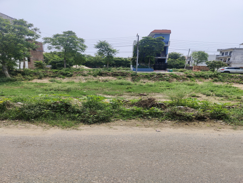  Residential Plot 107 Sq. Yards for Sale in Sector 13 Bahadurgarh