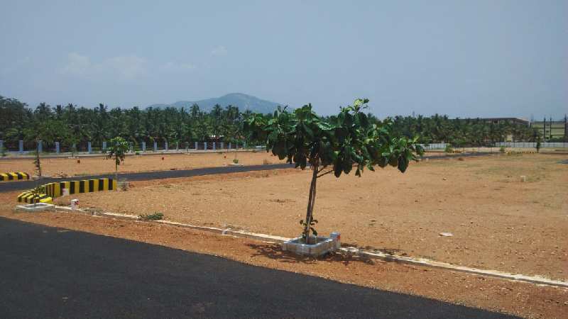 Residential Plot 1 Cent for Sale in Madampatti, Coimbatore