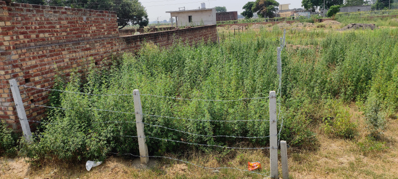  100 Sq. Yards Residential Plot for Sale in Chandigarh-Ludhiana Highway, Mohali