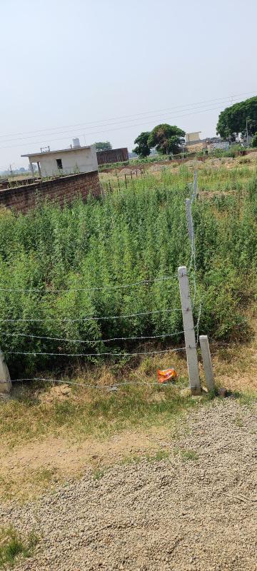  100 Sq. Yards Residential Plot for Sale in Chandigarh-Ludhiana Highway, Mohali