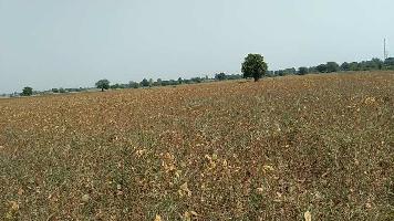  Agricultural Land for Sale in Khirkiya, Harda