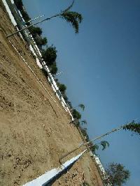  Residential Plot for Sale in Pilkhuwa, Hapur