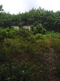  Agricultural Land for Sale in Beluvai, Mangalore