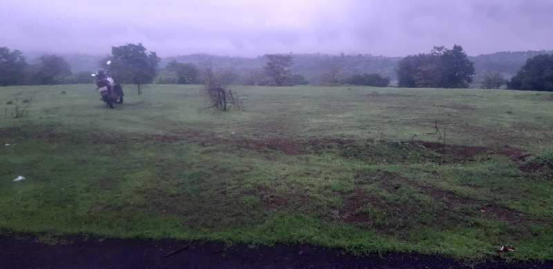 Agricultural Land 5 Acre for Sale in Alibag, Raigad