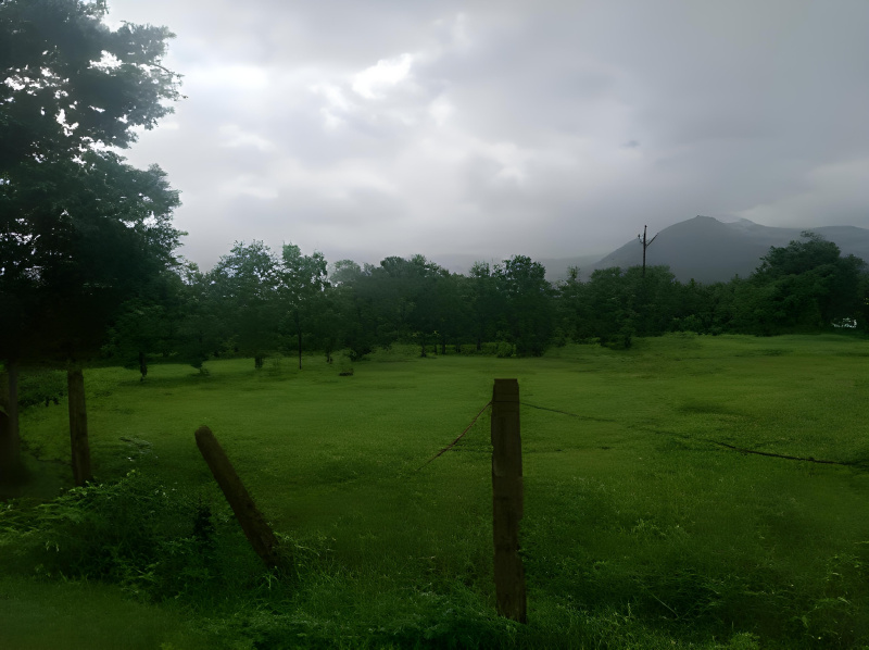  Commercial Land 2000 Sq. Meter for Sale in Karjat, Mumbai