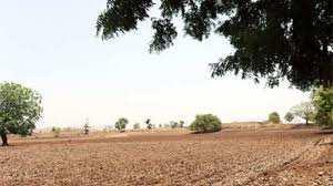  Commercial Land for Sale in Sanfeda, Sonipat., Sonipat