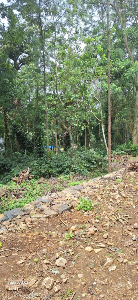  Residential Plot 5000 Sq.ft. for Sale in Yercaud, Salem