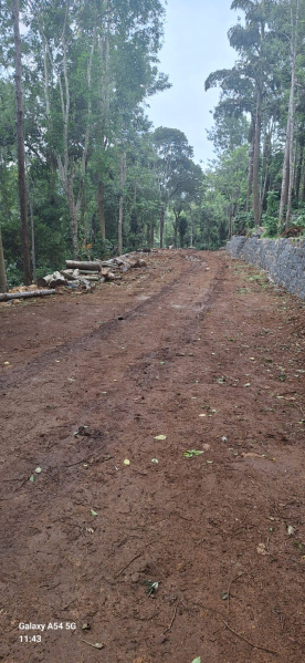  Residential Plot 5000 Sq.ft. for Sale in Yercaud, Salem