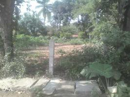  Residential Plot for Sale in Kanathi, Chikmagalur