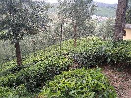  Agricultural Land for Sale in Coonoor, Ooty