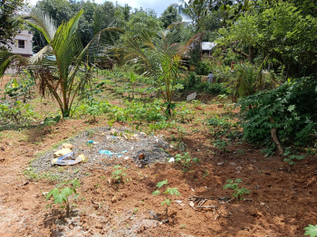  Residential Plot for Sale in Pathanapuram, Kollam