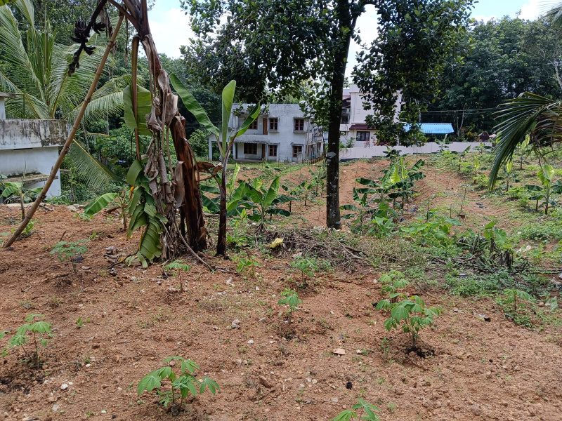  Residential Plot 7 Cent for Sale in Pathanapuram, Kollam