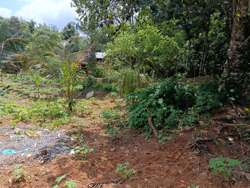  Residential Plot 7 Cent for Sale in Pathanapuram, Kollam