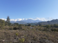  Residential Plot for Sale in Chilgadi, Dharamsala