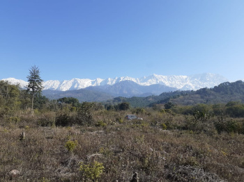  Residential Plot for Sale in Chilgadi, Dharamsala