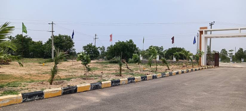  200 Sq. Yards Residential Plot for Sale in Shadnagar, Hyderabad