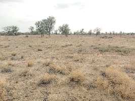  Agricultural Land for Sale in Pali Road, Jodhpur