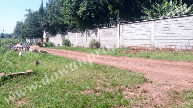  Residential Plot 35000 Sq.ft. for Sale in Kateni, Bhubaneswar