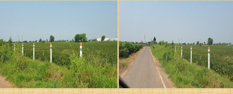  Agricultural Land 8 Bigha for Sale in Talod, Sabarkantha