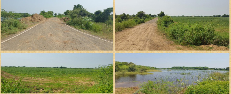  Agricultural Land 8 Bigha for Sale in Talod, Sabarkantha