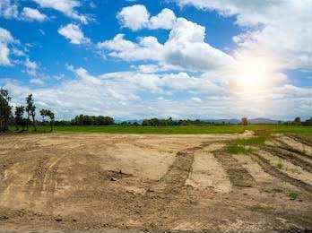 Agricultural Land 3 Acre for Sale in Paramathi, Namakkal