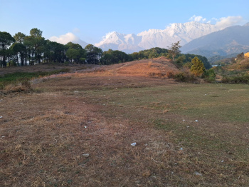  Residential Plot for Sale in Palampur Road, Dharamsala