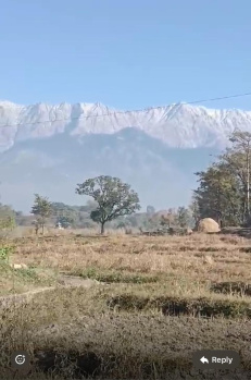  Residential Plot for Sale in Sukkad Road, Dharamsala