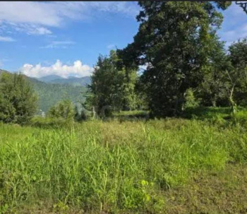  Residential Plot for Sale in Gharoh, Dharamsala