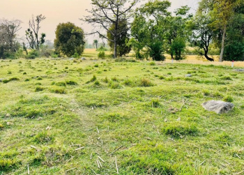  Residential Plot for Sale in Matour, Kangra