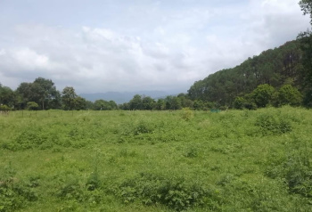  Residential Plot for Sale in Khanyara Road, Dharamsala