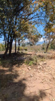  Residential Plot for Sale in Gharoh, Dharamsala