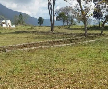  Residential Plot for Sale in Gharoh, Dharamsala
