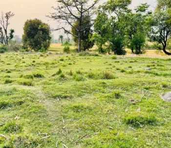  Residential Plot for Sale in Sidhbari, Dharamsala