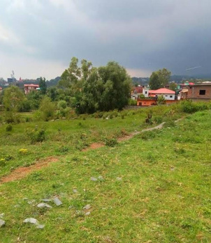 Residential Plot for Sale in Dari, Dharamsala