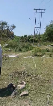  Residential Plot for Sale in Gharoh, Dharamsala